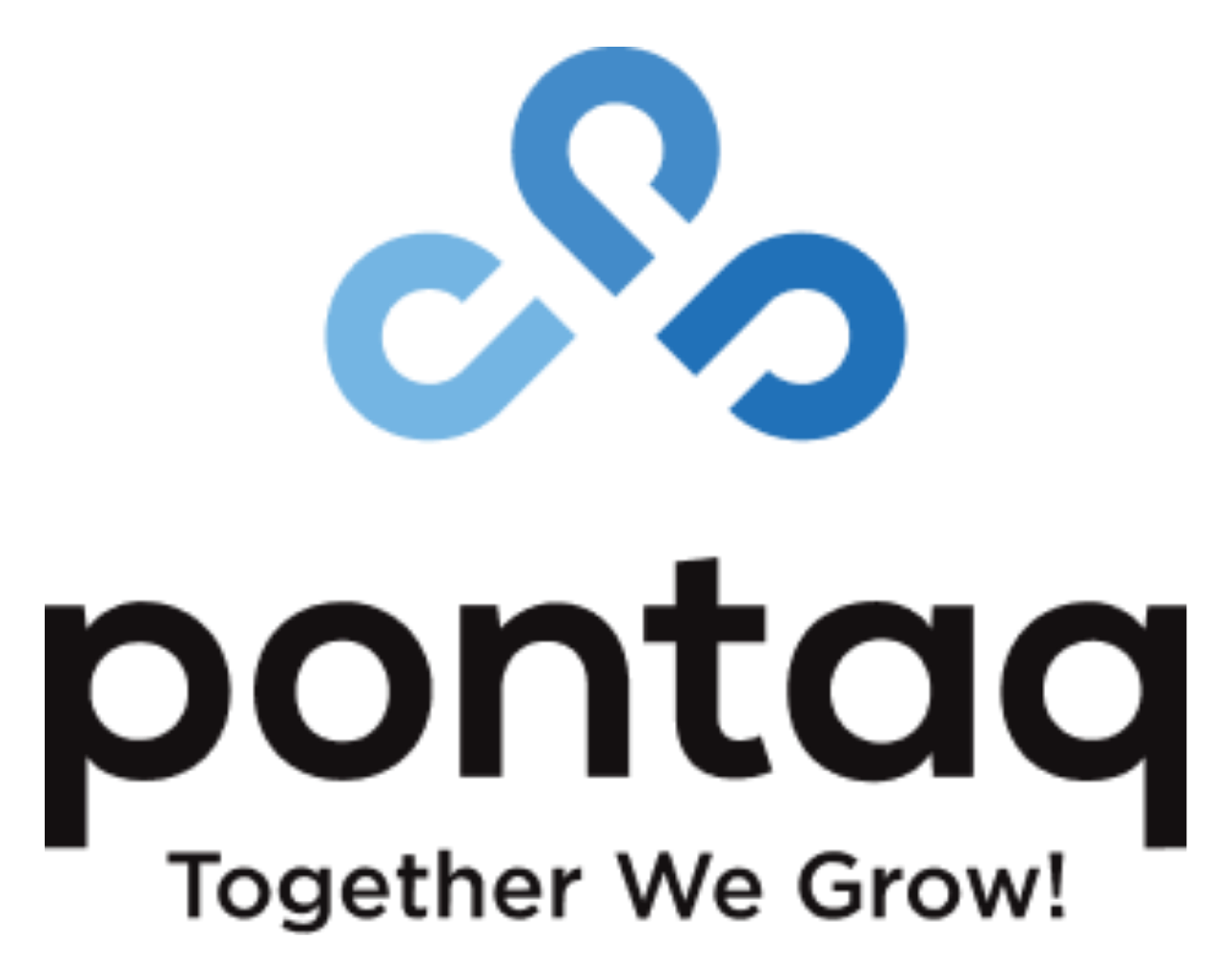 Pontaq logo